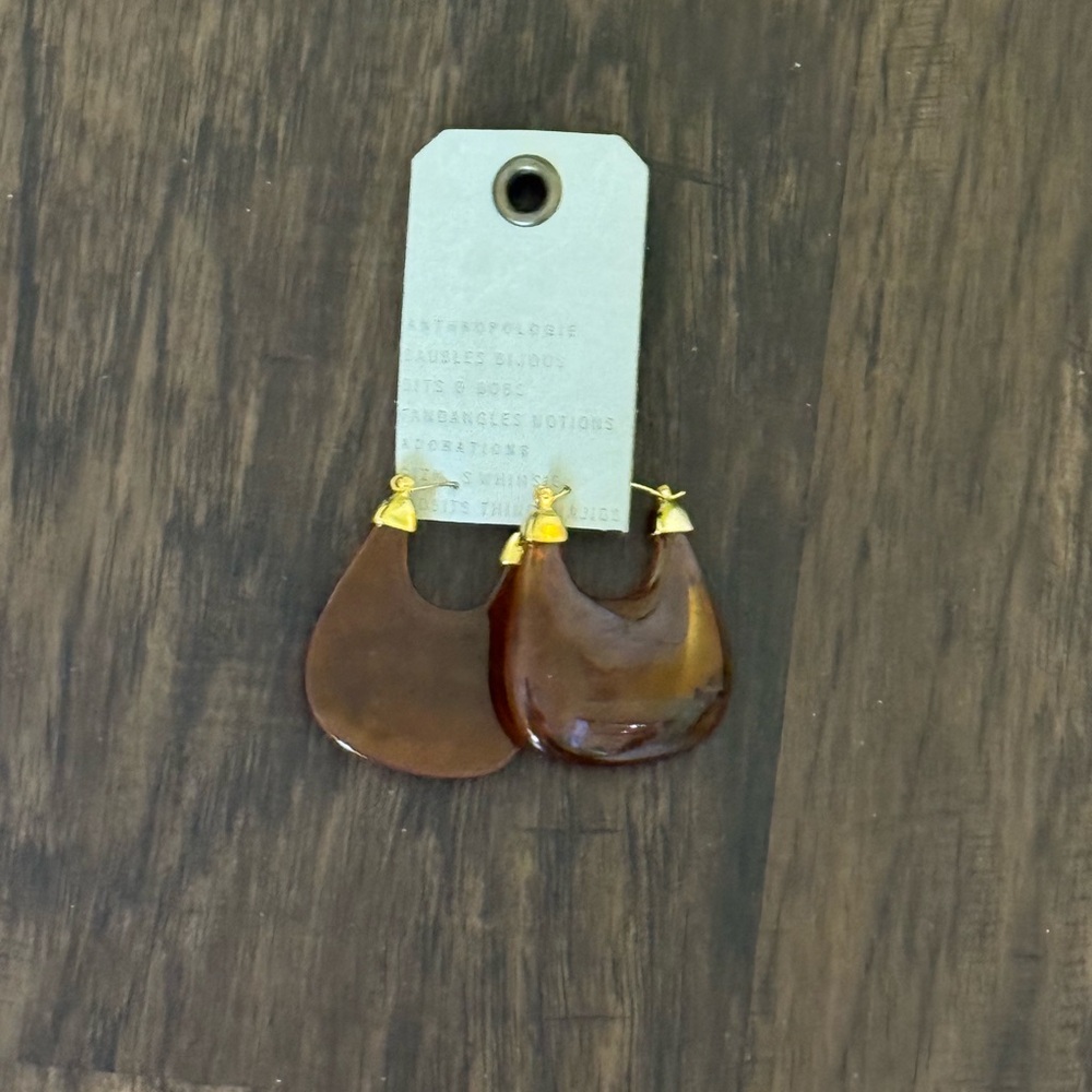 Anthropologie resin click hoop earring